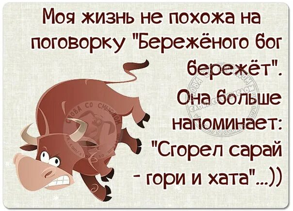 Береженного бог бережет. Бережëнного бокс бережëи. береженого бокс береюет. береженого бог бережёт пословица. моя жизнь не похожа на поговорку береженого бог бережет.