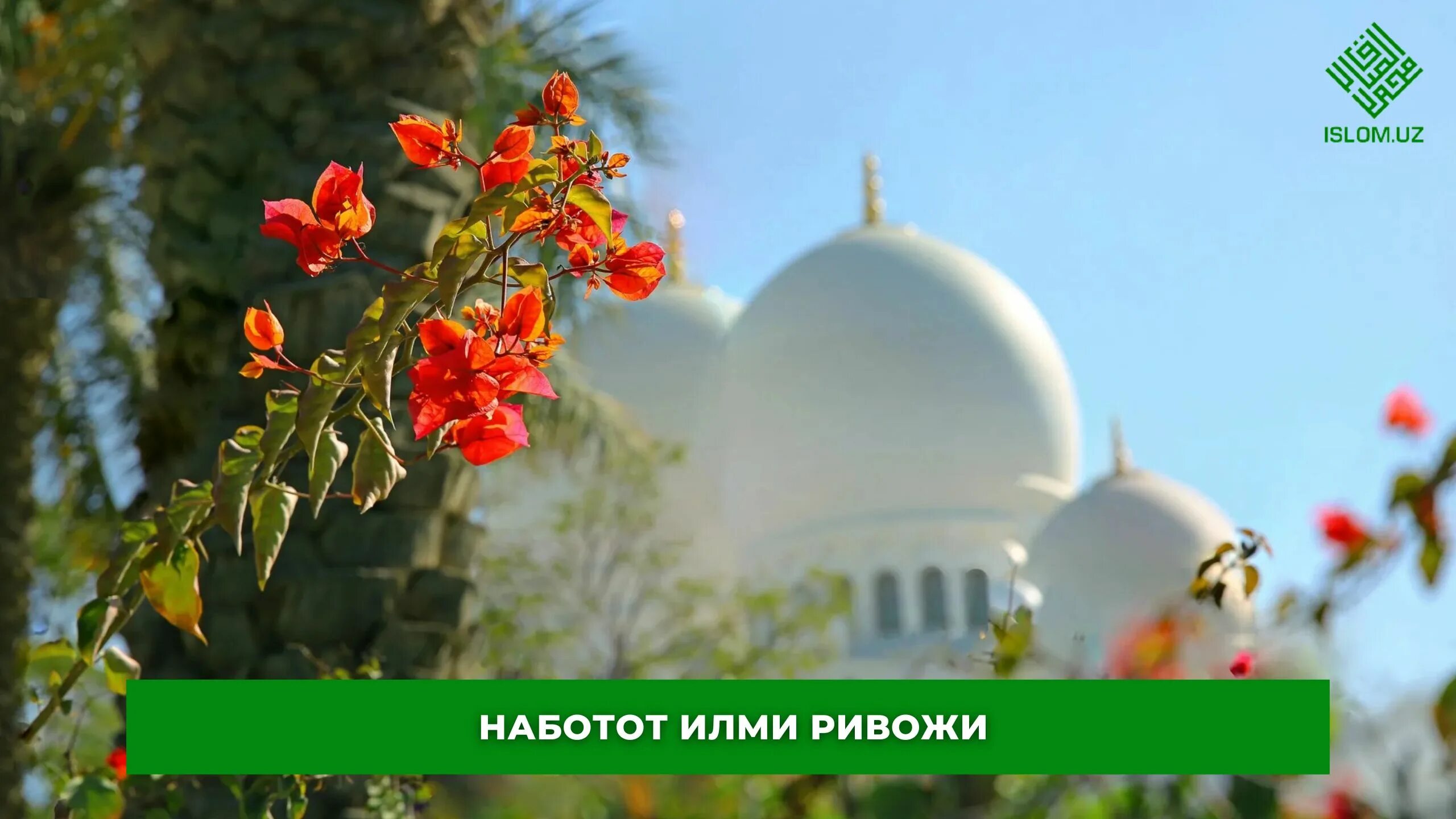 Восток в цветах. Красивые цветы для сада. Истинная женщина фото. Храм лотоса индия. Фотосессия в восточном стиле.