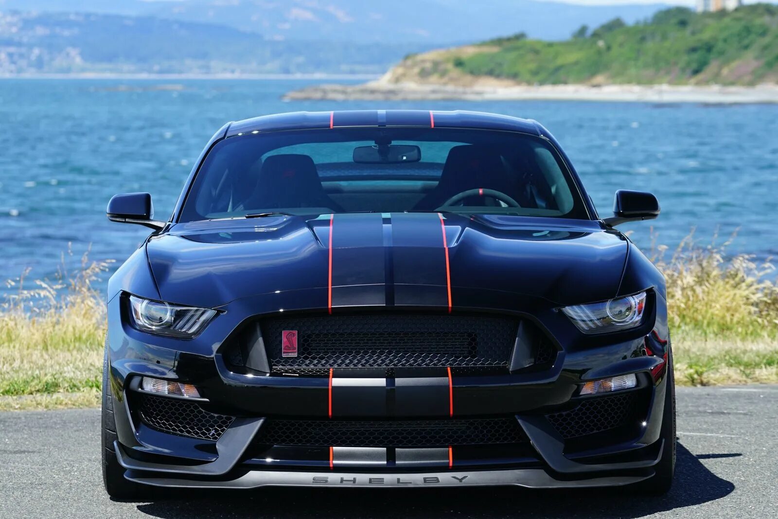 Mustang shelby gt. Форд Мустанг gt 350. Форд Мустанг Шелби gt 350. Ford Mustang Shelby gt350. Мустанг Shelby gt350r.