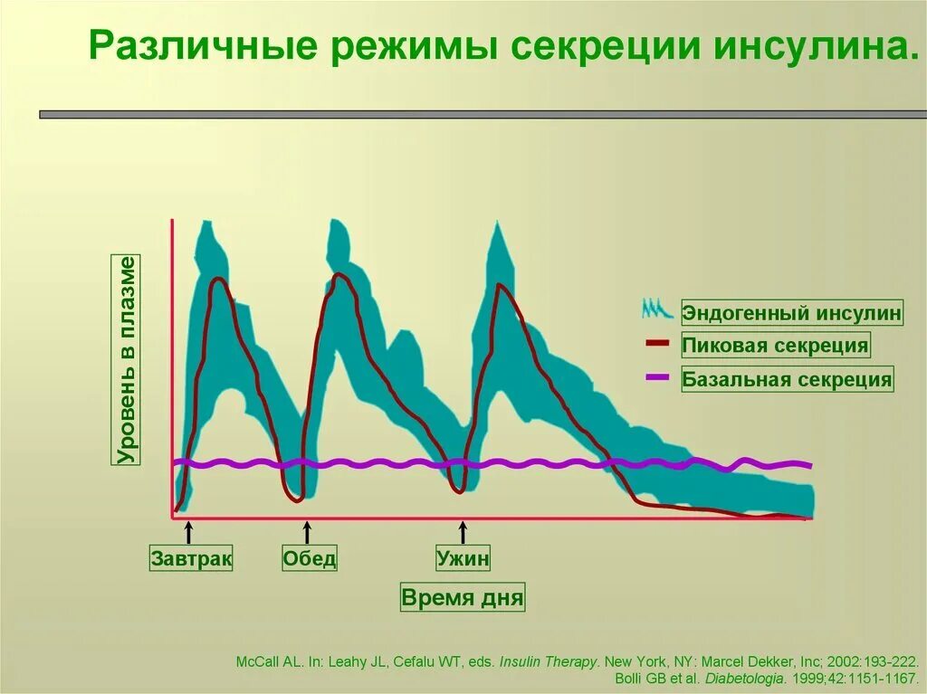 Первая фаза секреции инсулина при СД 2. Базальная секреция инсулина. Фазы секреции инсулина. Физиологическая секреция инсулина. Инсулин в течении дня