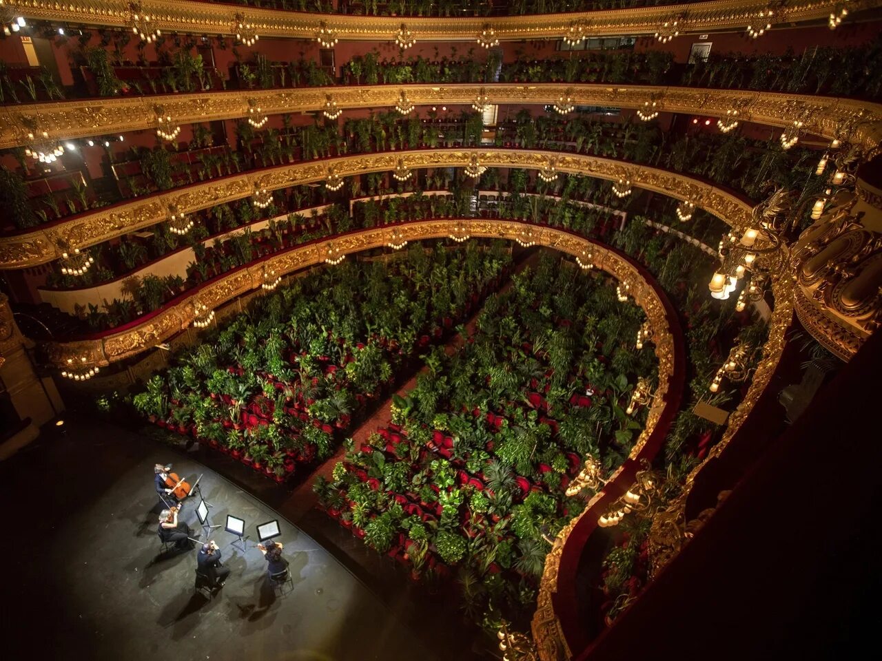 Concerts theatre. Большой театр Лисеу в Барселоне. Театр Лисео Барселона. Гран театр Лисео. Оперный театр Лисео в Испании.