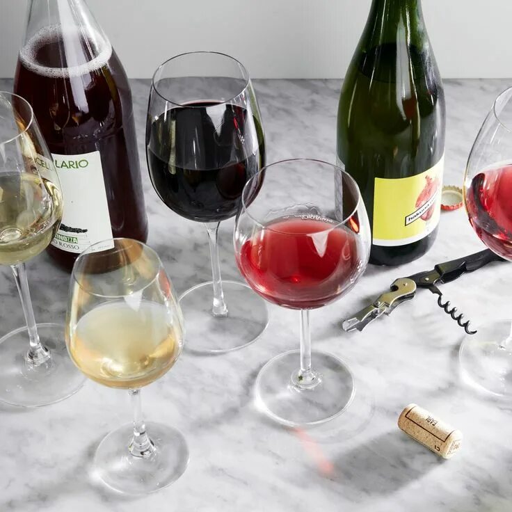 Вино на полках. Испанское вино. Элитный винный магазин. Бутылка вина. The best wine.