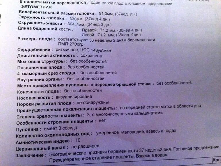 Матка 37 мм. УЗИ 36 недель беременности заключение. УЗИ на 37 неделе беременности показатели. УЗИ 37 недель беременности норма. УЗИ 36 недель беременности показатели.