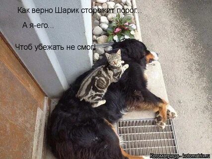 Чтоб не убежал