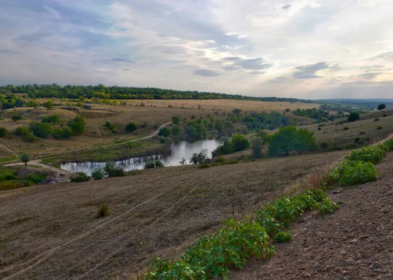 Село сладкая балка Запорожская область. Балка ЧУБЕНКОВА Запорожская область. Запорожье село балки. Запорожская область природа. Погода в запорожской области на неделю