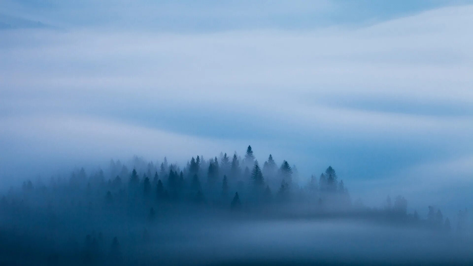 Blue fog