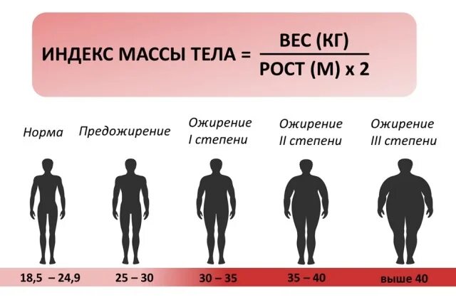 2 стадия ожирения