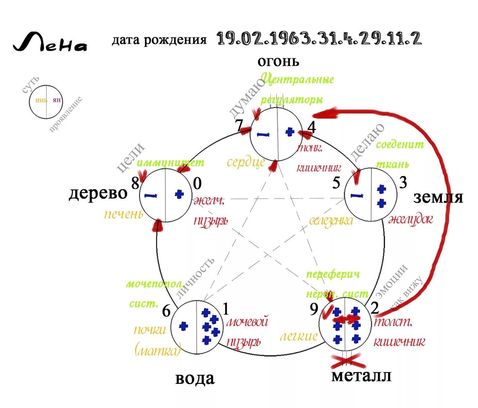 Связь по дате рождения. Система 5 элементов у-син. Китайская система Усин. Теория Усин 5 элементов. Усин китайская философия.