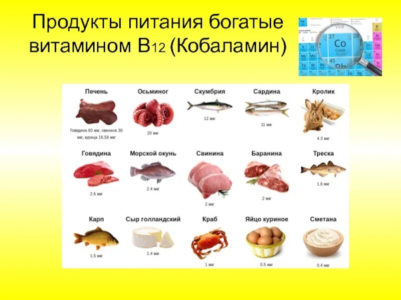 Содержание б 12. Продукты питания богатые витамином в12 таблица. Продукты богатые витамином в12 таблица. Продукты с витамином в12 и фолиевой кислотой. Продукты содержащие витамин в12.