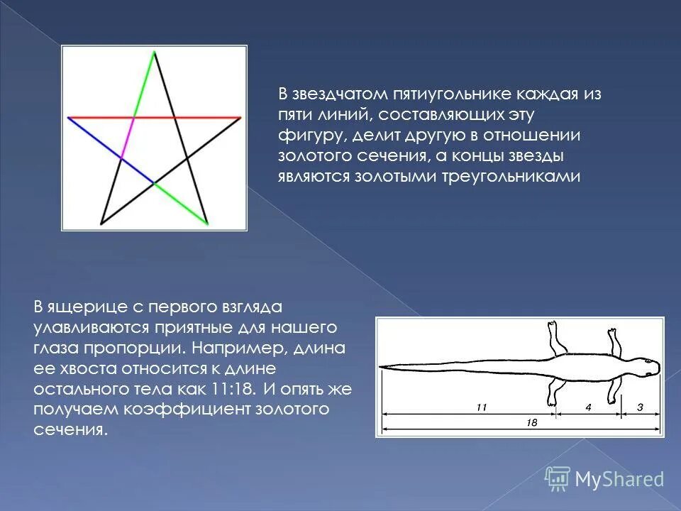 Пять а линию. Пять а линию