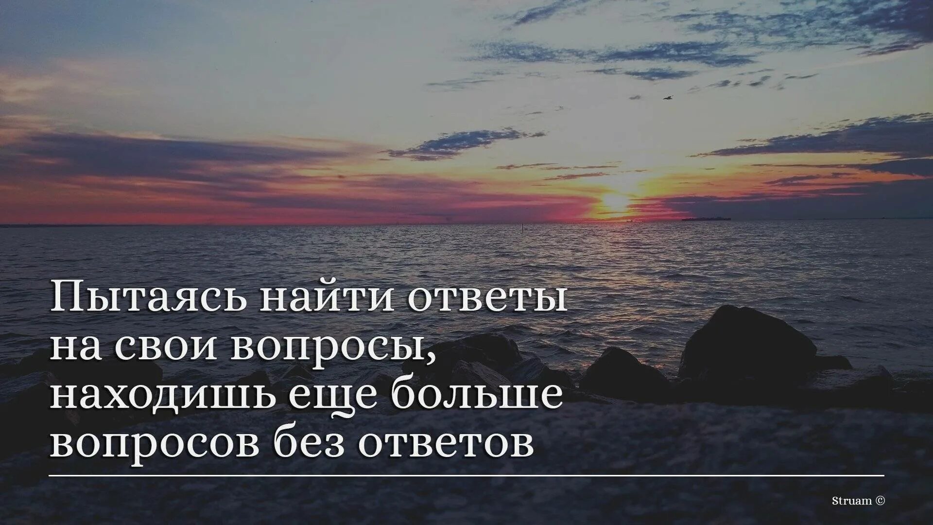 Том сам ответит на вопрос. Цитаты про вопросы без ответов. Цитаты про вопросы. Афоризмы про вопросы. День ответов на незаданные вопросы.