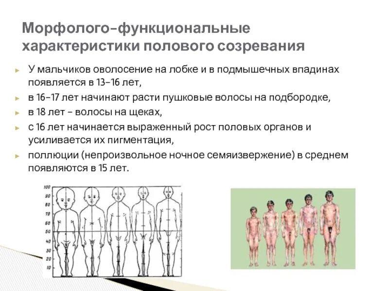 До скольки растет мужской половой. Половое развитие мальчиков. Оволосение подмышечных впадин у мальчиков. Созревание мальчиков. Лобковое и подмышечное оволосение у мальчиков.