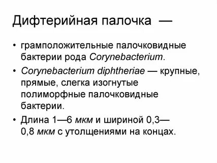 Дифтерийная палочка