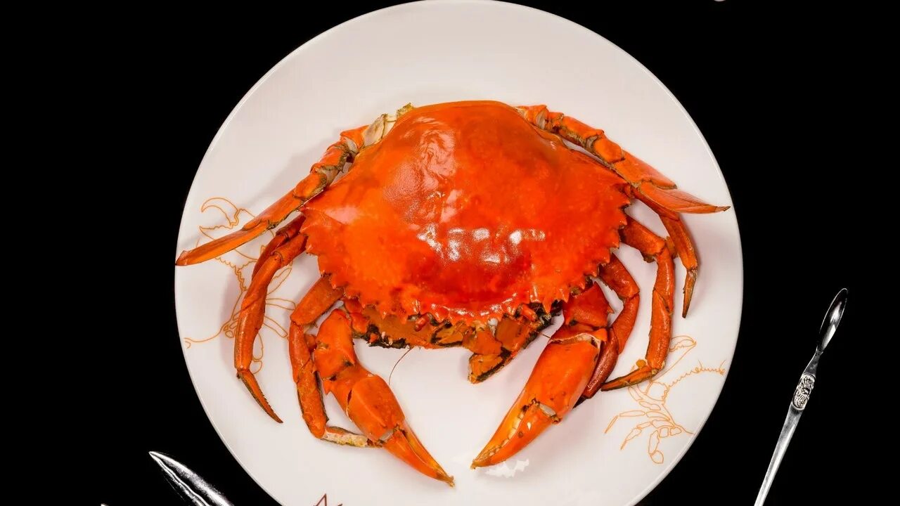 Краб в исламе можно. Ministry of Crab ресторан. Краб в Дубае. Мальдивский краб. Краб на тарелке.