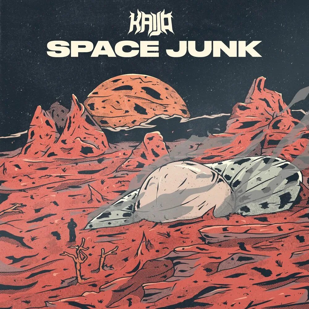 Space junk. Space Junk Wang chung. Cosmic Junk. Space Junk Friday. Anti Hero Taylor Space Junk Pro.