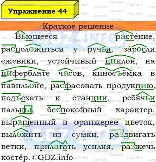Русский язык 7 класс номер 366