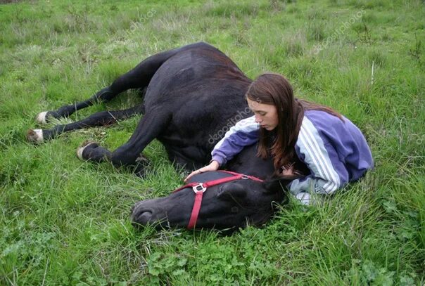 Лошадь лежит. Лошадь валяется женщина. Лошадь лежит с хозяином.