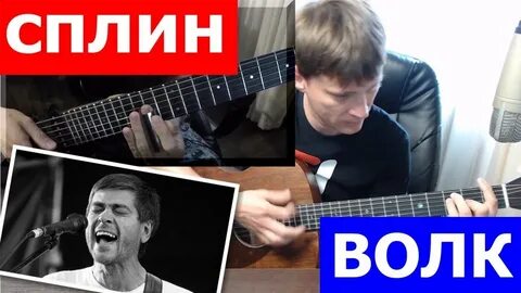 Песня под гитару волк
