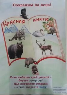Красная книга в детском саду