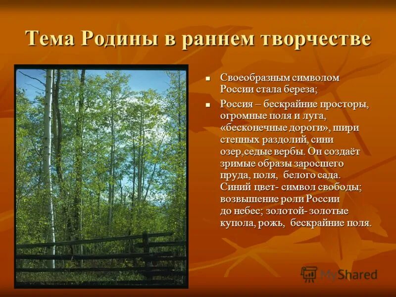 Как раскрывается тема родины в стихотворениях есенина. Тема Родины в творчестве. Тема Родины в творчестве а.белого. Тема Родины в творчестве Андрея белого. Тема Родины блок.