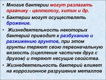 Способны расщеплять целлюлозу