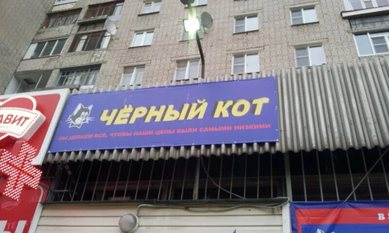 Черный кот череповец работа. Магазин черный кот в вологде. Проспект победы 105 череповец организации. Сеть магазинов черный кот череповец. Черный кот череповец работа.