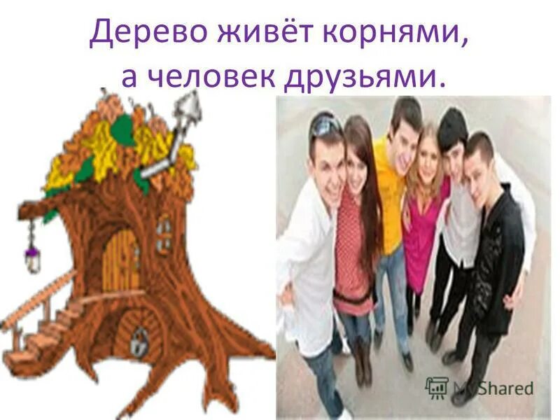 Жил был корень. Дерево живёт корнями а человек друзьями. Дерево живёт корнями а человек - дружбой. Дерево живет корнями а человек семьей.