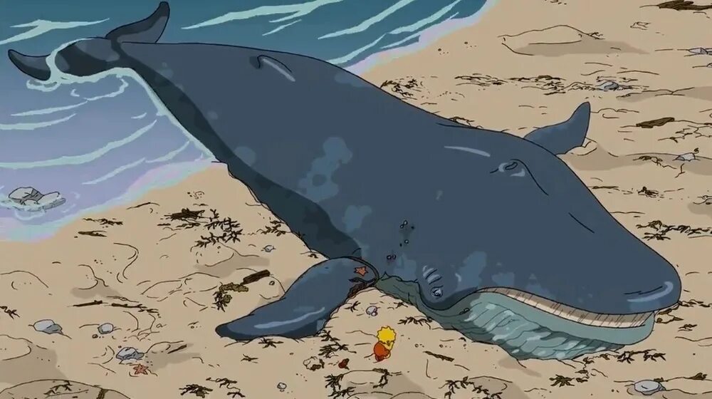 Бравал кит