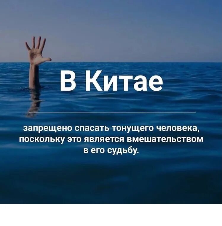 Факты прочих. Факты. интересные факты. интересные факты о человеке. смешные факты.