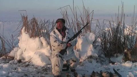 Охота на гуся осенью видео