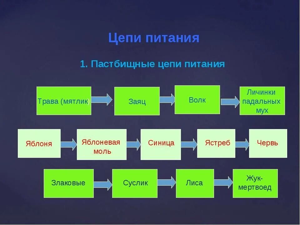 Как составить пищевую цепь. Цепь питания из 2 звеньев. Схема пастбищной пищевой цепи. Примеры пищевой цепи в биологии. Ремонт цепей питания