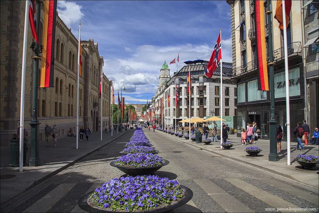 Норвегия осло. Норвегия тур лофотенские острова. Трондхейм город в норвегии. Лервик берген. Осло-фьорд осло.