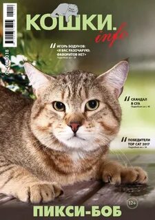 Журнал коте