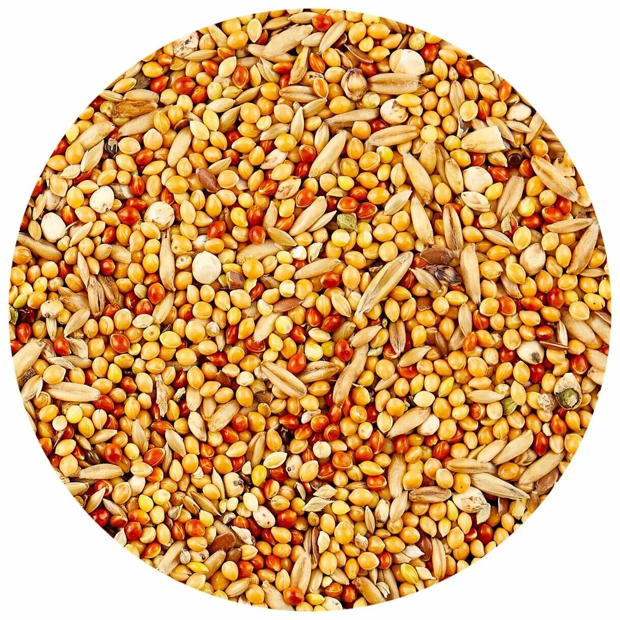 Вака high quality корм д/декоративных кроликов 1кг. Боспа корм для грызунов с фруктами, 500г пакет. Корм для кроликов декоративных гранулы. Боспа корм для кроликов. Корм для грызунов.