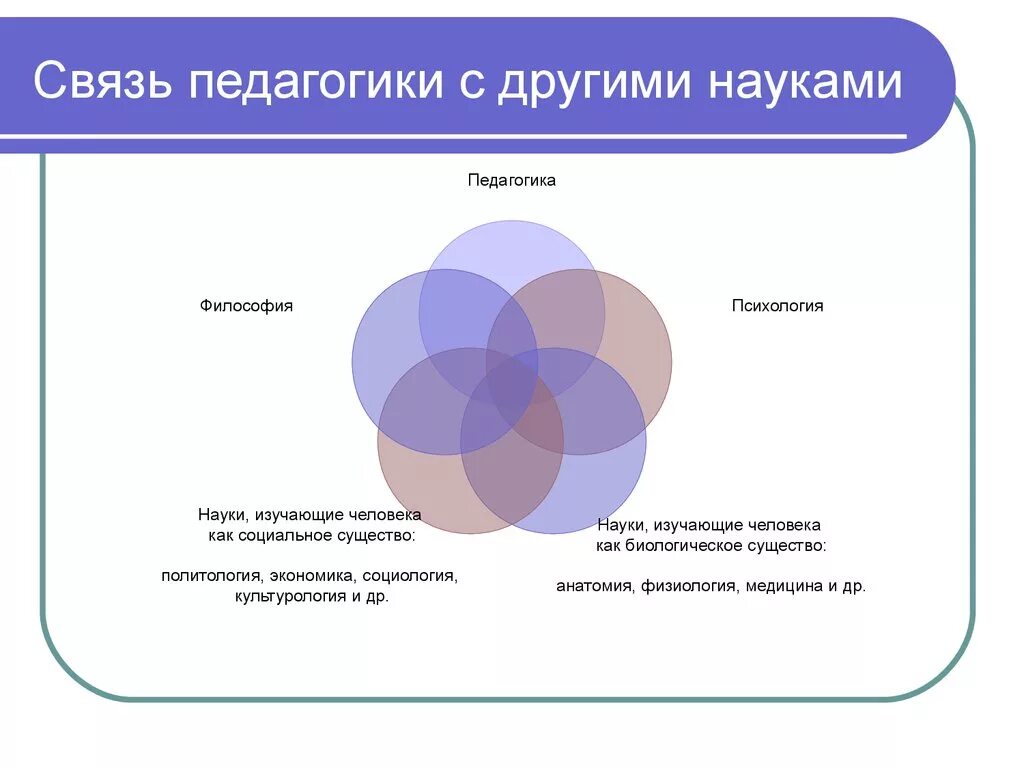 С точки зрения педагогики. Связь науки педагогической психологии с другими науками.. Взаимосвязь педагогической психологии с другими науками схема. Взаимосвязь педагогики с другими дисциплинами. Связь педагогики с другими науками схема.