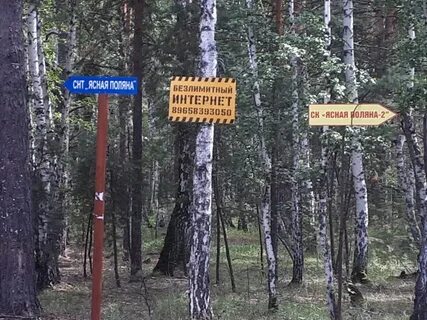 Поляна курганская область