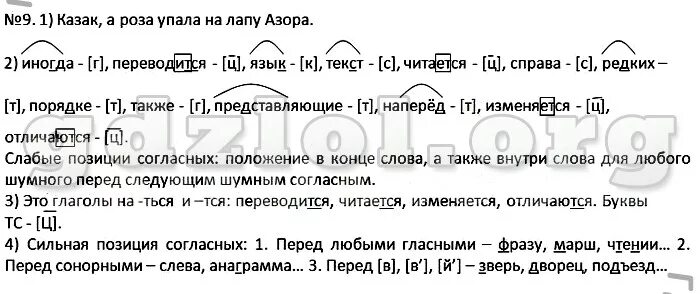 Впрочем по русскому языку 7 класс ответы. Русский язык 9 класс Шмелев. Русский язык 7 класс Шмелев упр 9.