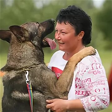 Фонд артура собака