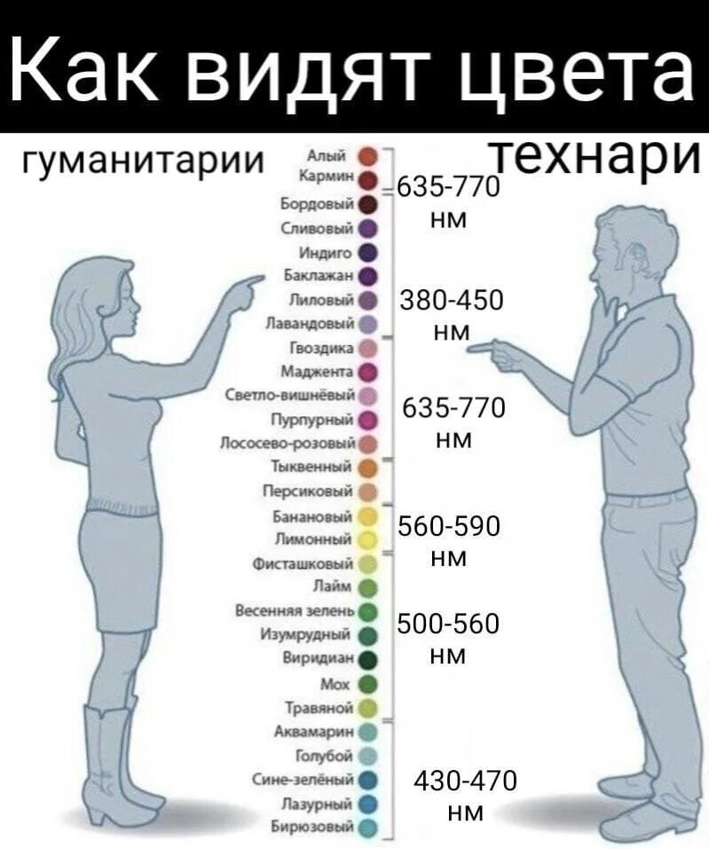 Физическая причина различия цветов. Цвета мужчины и женщины. Восприятие цветов мужчинами и женщинами. Различие цветов у мужчин и женщин. Мужчина и женщина называют цвета.