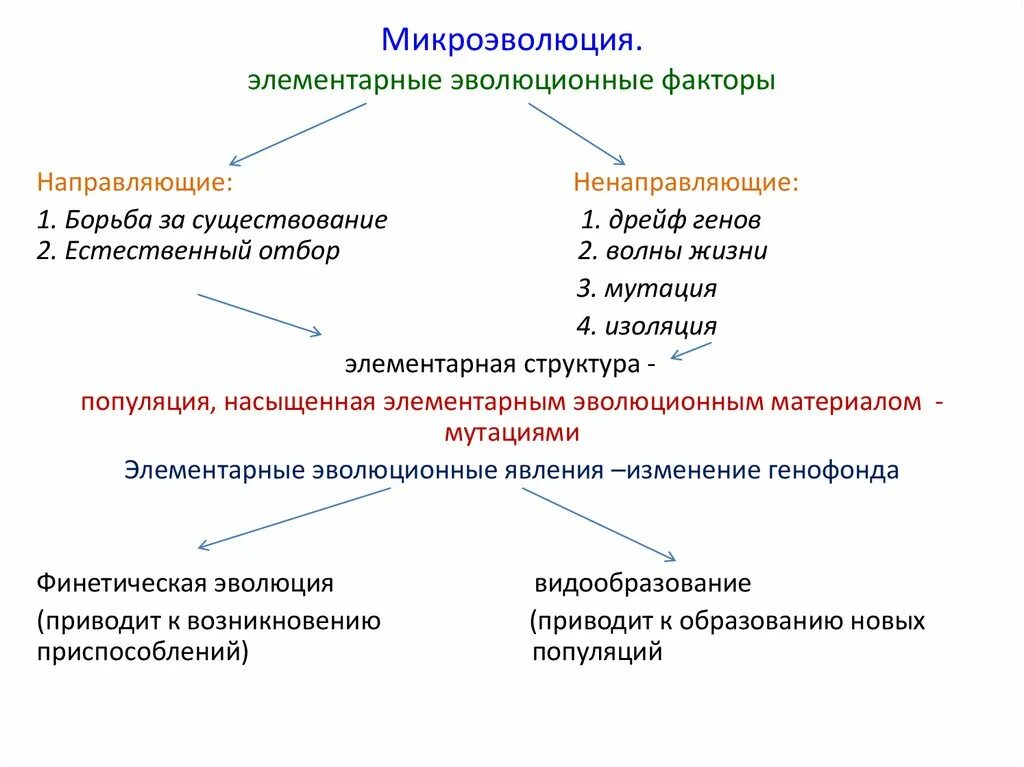 Главным фактором эволюции является. Схема элементарные факторы эволюции. Эволюционные факторы микроэволюции. Микроэволюция факторы эволюции. Элементарные эволюционные факторы схема.