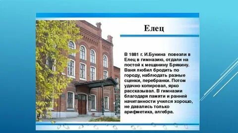 Елец класс