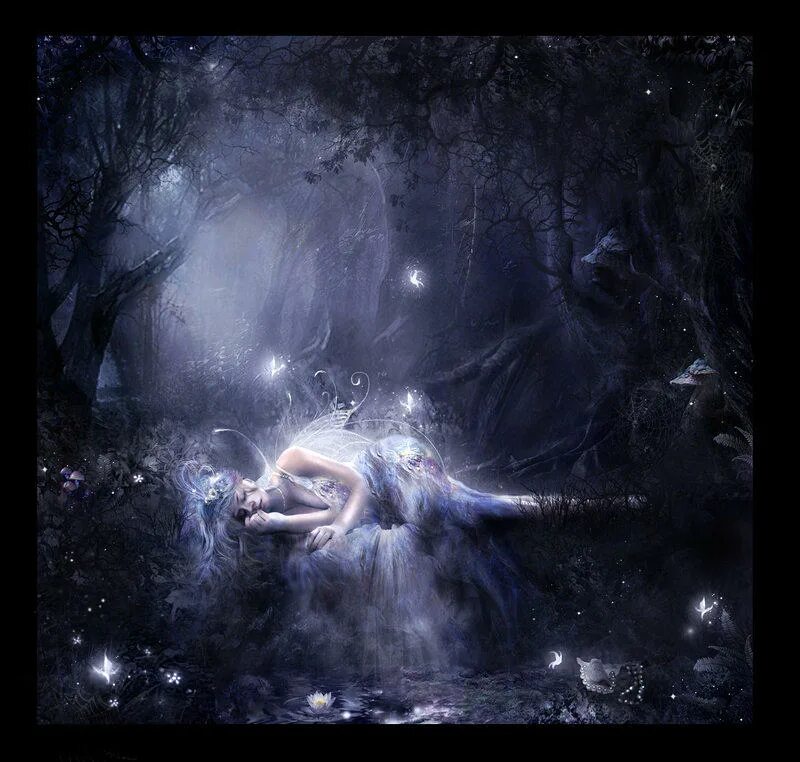 Эльф снов. Сновидения мистика. Дэвид деламер moon fairy. Ночная фея. Сказочный сон.