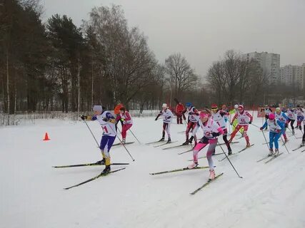 Лыжные гонки в школе