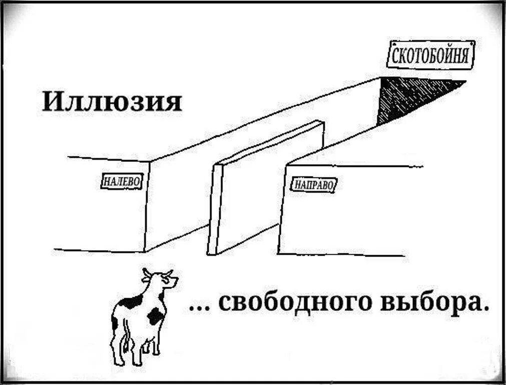 Скриптонит налево направо