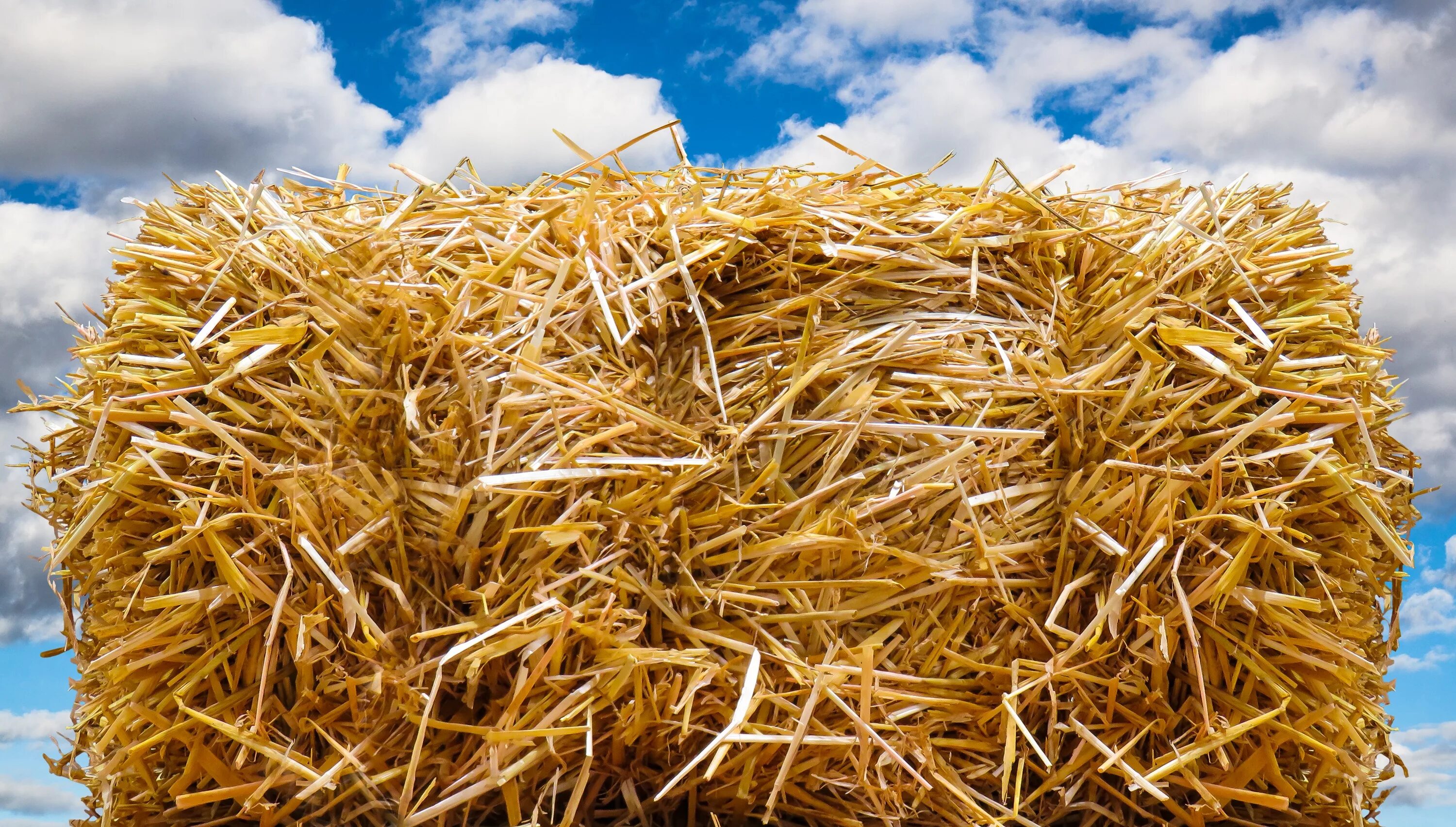 Straw