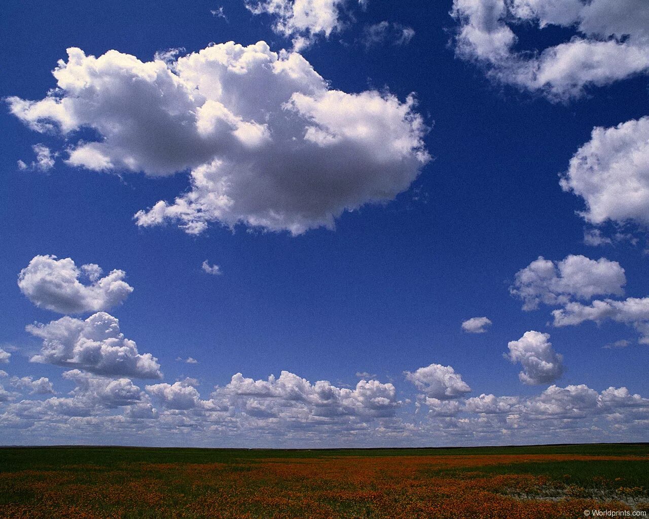 небо анимация. небо с облаками. облака двигаются по небу. облака плывут. кучевые облака.