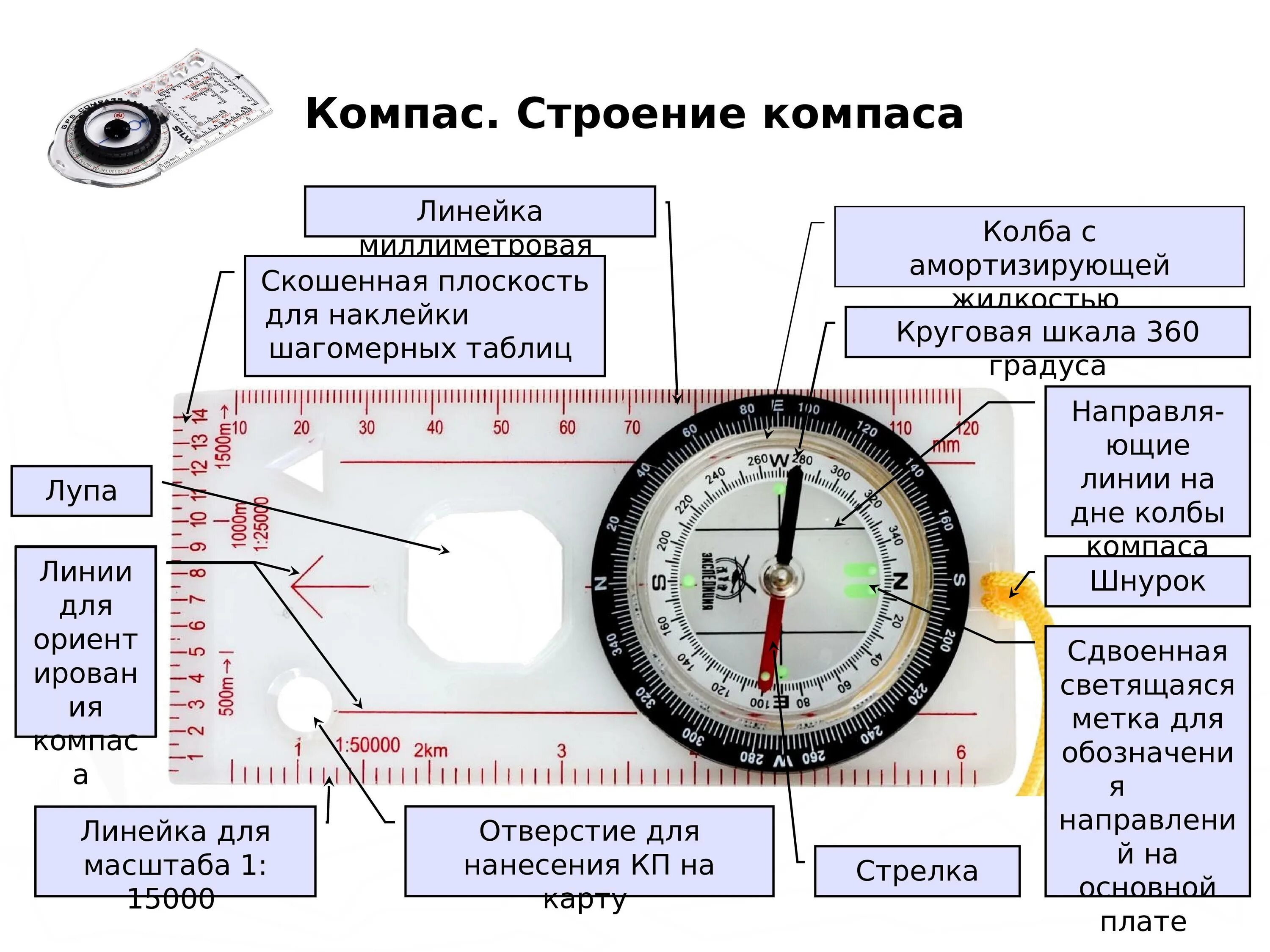 Компас для спортивного ориентирования строение. Строение жидкостного компаса. Компас строение компаса. Как пользоваться компасом. Расшифровка компаса