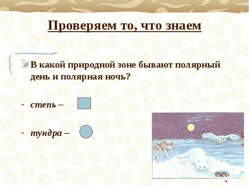 Сообщение полярные дни и ночи. На какой природной зоне полярные ночи. полярная ночь в какой зоне. природные зоны полярная ночь и полярный день. в каких природных зонах бывают полярная ночь и полярный день.