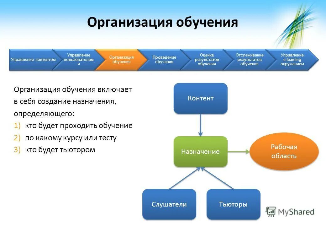 Программы для учебных центров. Управление учебным курсом программа. Программирование 1с 8. Образовательный портал омгпу. Управление учебным курсом программа.