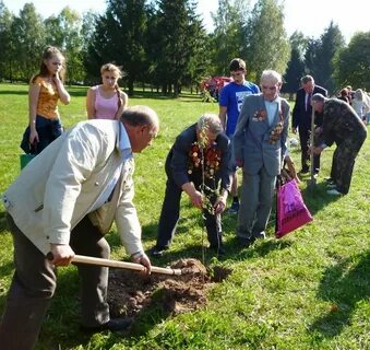 Рп5 суземка